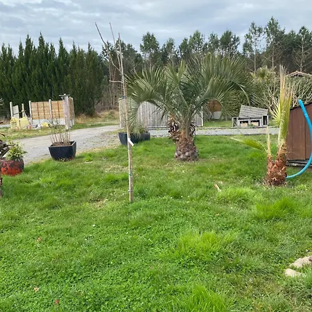 Maison Atypique - Lisiere De Foret - Bassin Arcachon Holiday home
